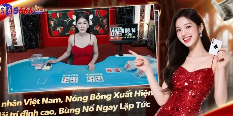 Tại sao Rồng Hổ S666 nổi tiếng