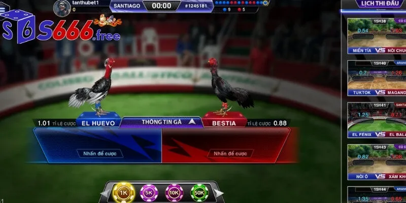S666 tổ chức đá gà online chuyên nghiệp