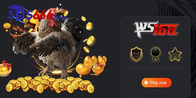 Vô số trận đá gà hay trên sảnh WS168